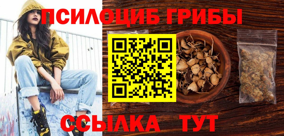 Галлюциногенные грибы прущие грибы Луга