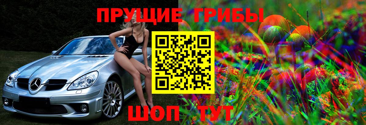 Псилоцибиновые грибы прущие грибы  Вход с VPN  Луга 